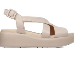 Hot callaghan Modelo 33602