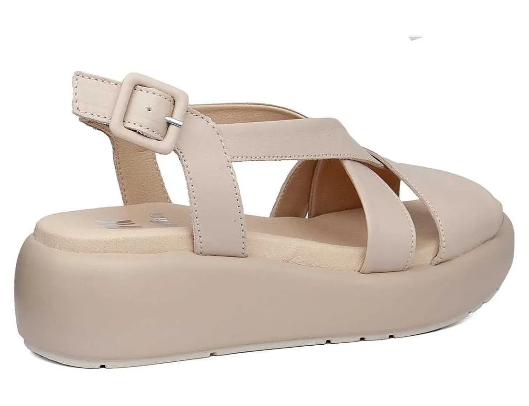 Hot callaghan Modelo 33602