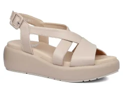 Hot callaghan Modelo 33602