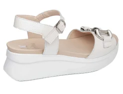 Discount callaghan Modelo 29916