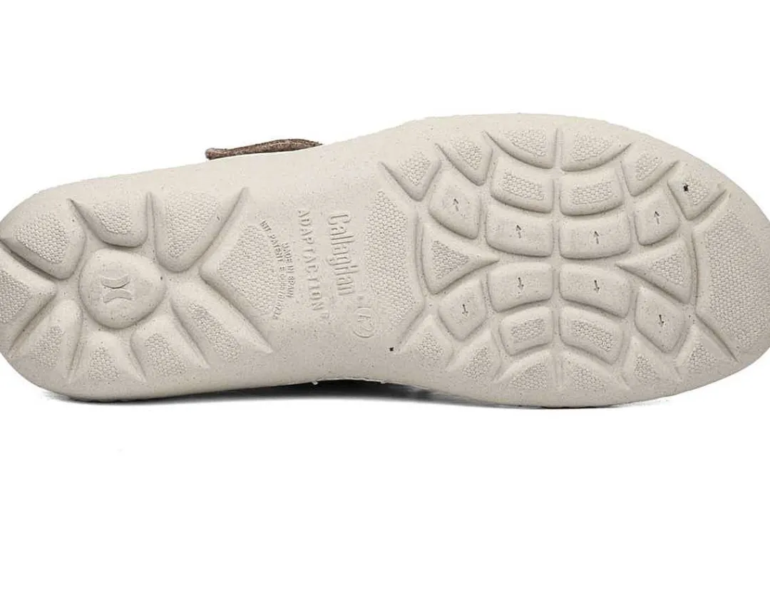 Flash Sale callaghan Modelo 80952