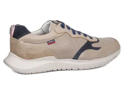 Discount callaghan Modelo 53707