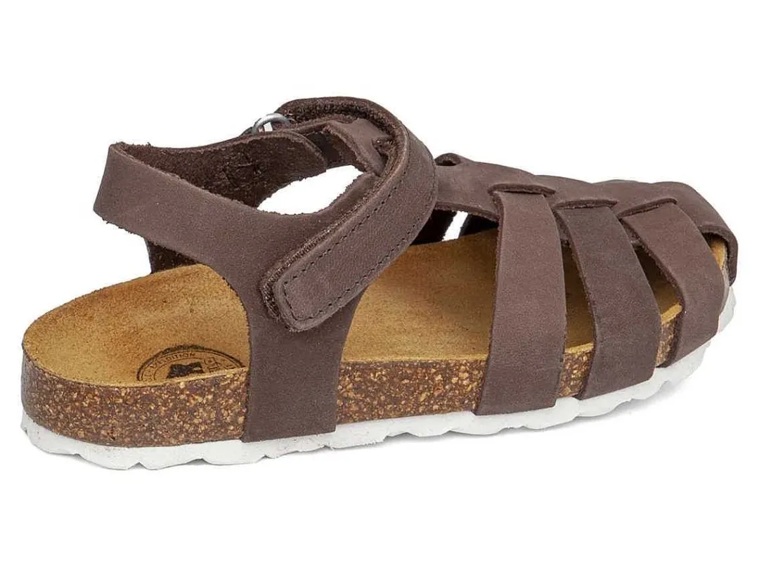 New callaghan Modelo 40900