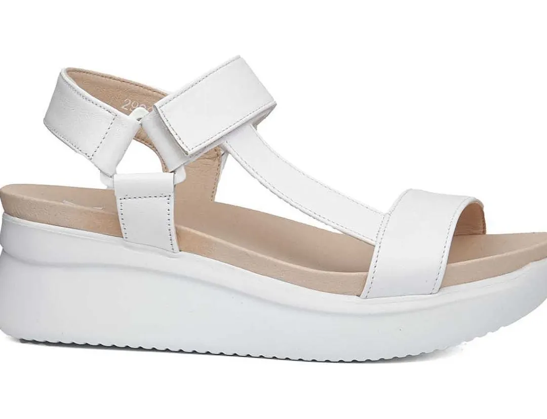 Outlet callaghan Modelo 29908
